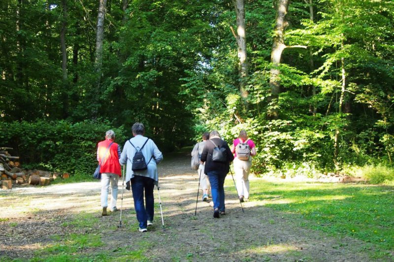 Gemeinsam gehen