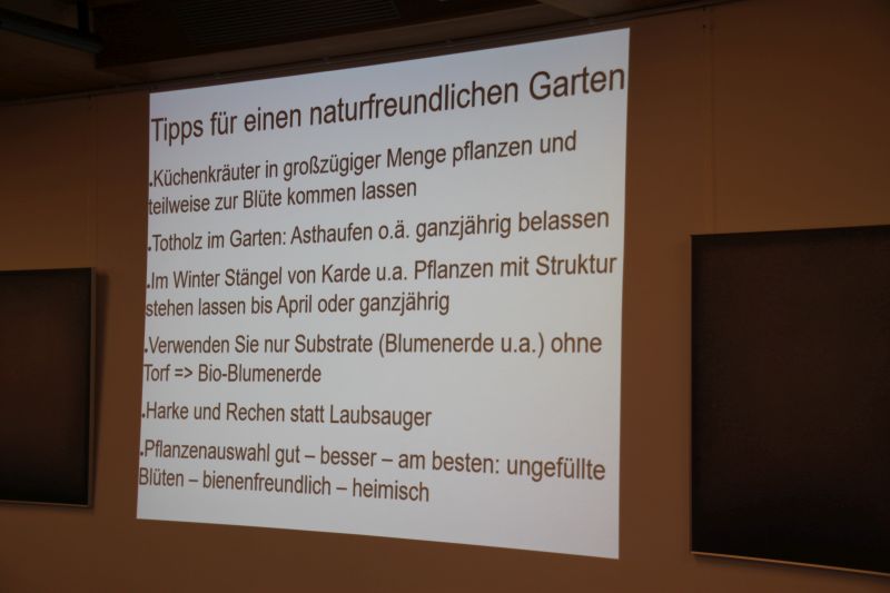 Tipps für den insektenfreundlichen Garten