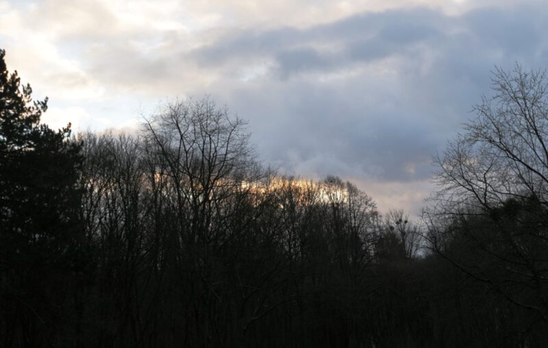 Blick aus dem Vortragsraum: manchmal reisst der Himmel auf