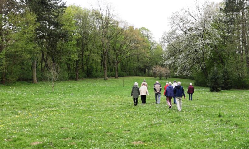 Erkundung des Hegge-Parks