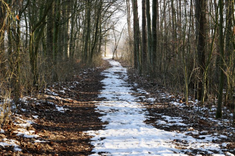 Der Schnee schmilzt