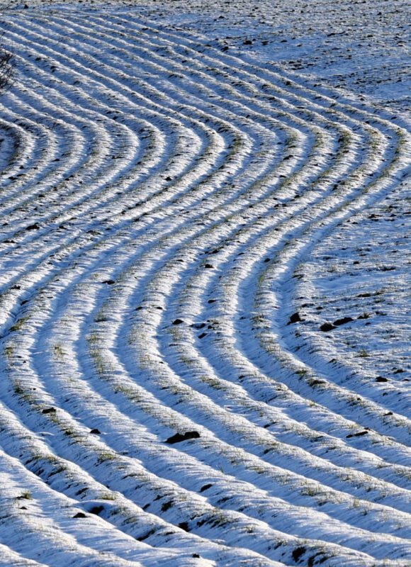Spuren im Schnee