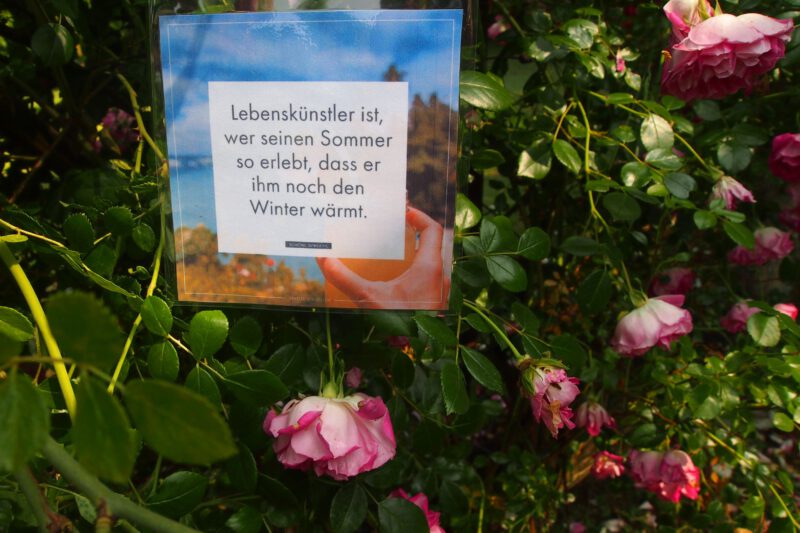 Wortgeschenk