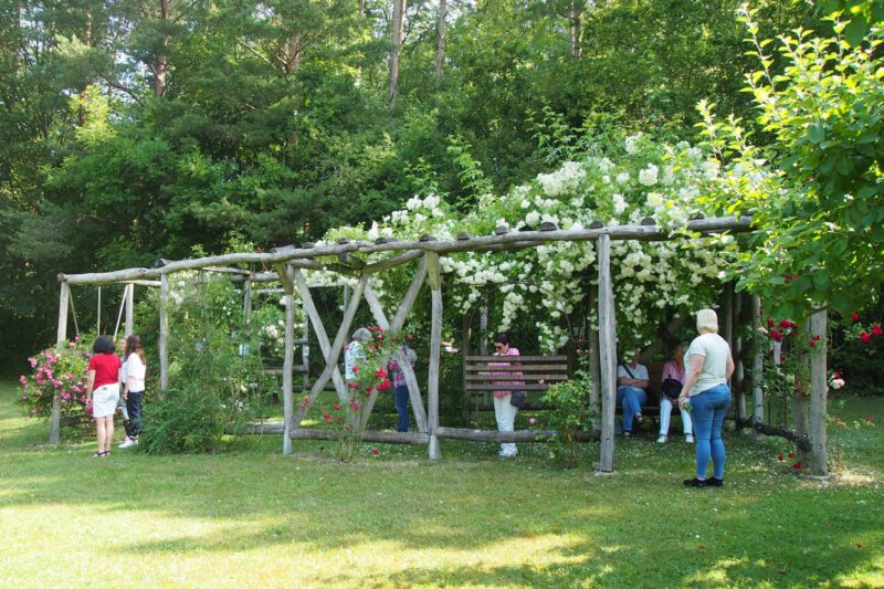 Eine Auszeit in der Pergola