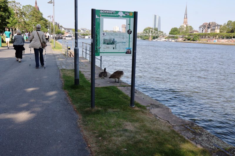  .... zum Städel-Museum