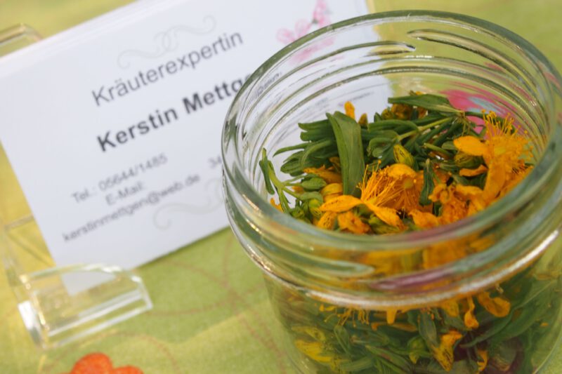 Schöpfung gibt... Johanniskraut