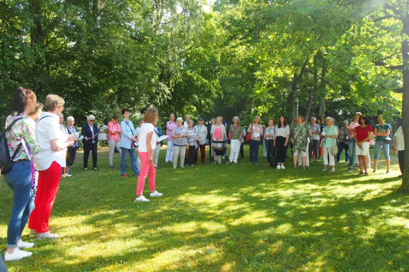  In guter Runde Sommer-Fülle erleben