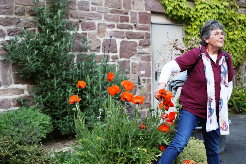 Die Teilnehmer erfahren, warum die rotblinden Bienen auf den dunklen Stempel des Klatschmohn angewiesen sind