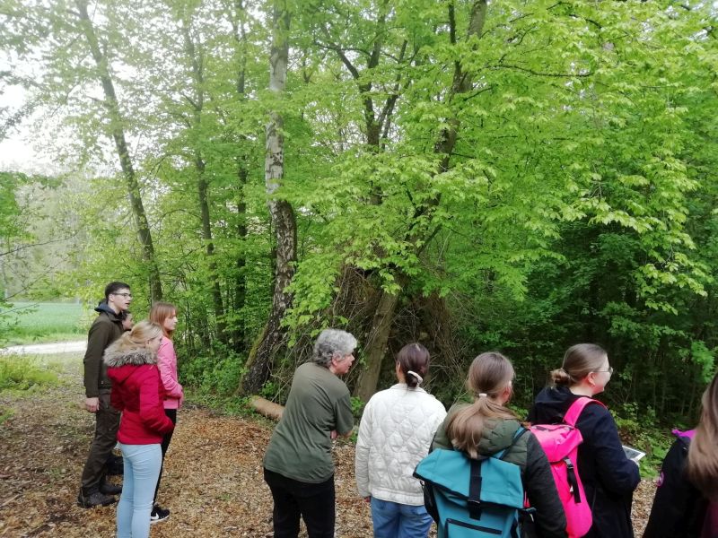 Hüttenbaubetrachtungen