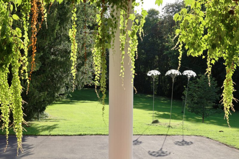 Früherbstlicher Blick in den Hegge-Park