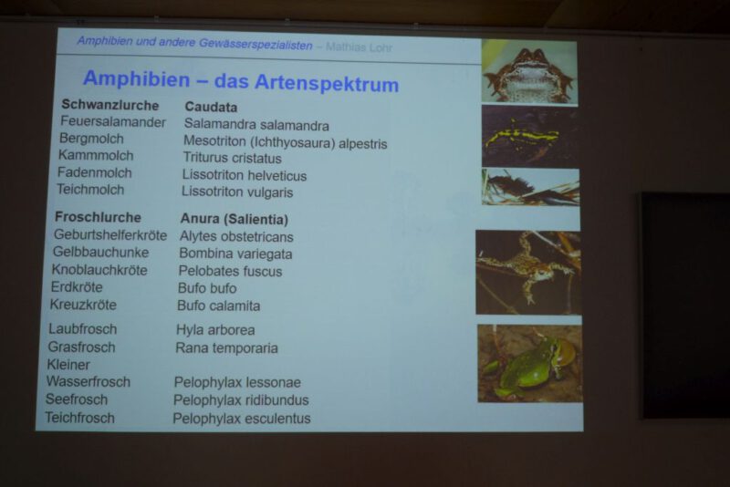 Diese Arten gibt es im Kreis Höxter