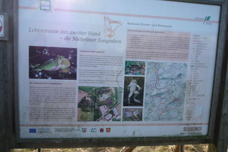 Die Nieheimer Tongruben - ein Naturschutzgebiet