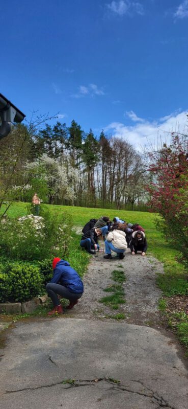 Auf der Suche nach Naturmaterialien

