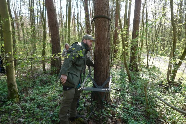 Der Klettersitz wird am Baum montiert