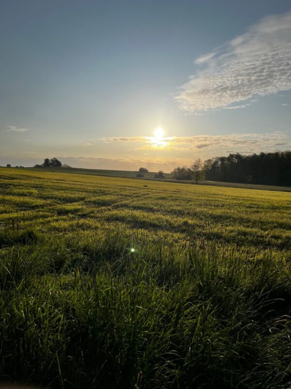 In voller Pracht