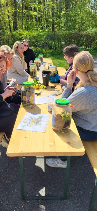 Die HEGGE im Glas